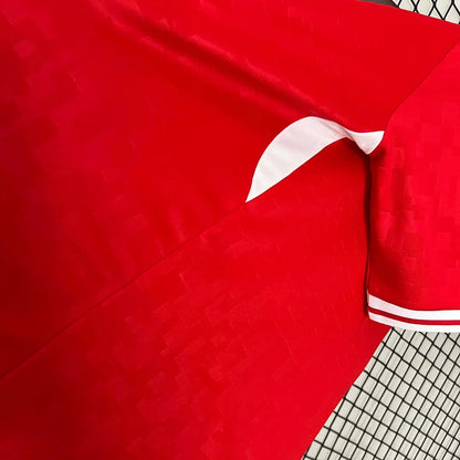 Denmark 2024 Home Jersey