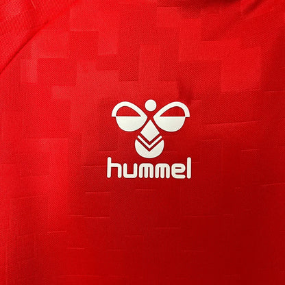 Denmark 2024 Home Jersey