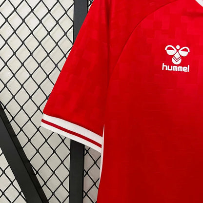 Denmark 2024 Home Jersey